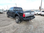 2015 Ford Super Duty F-250 SRW Platinum