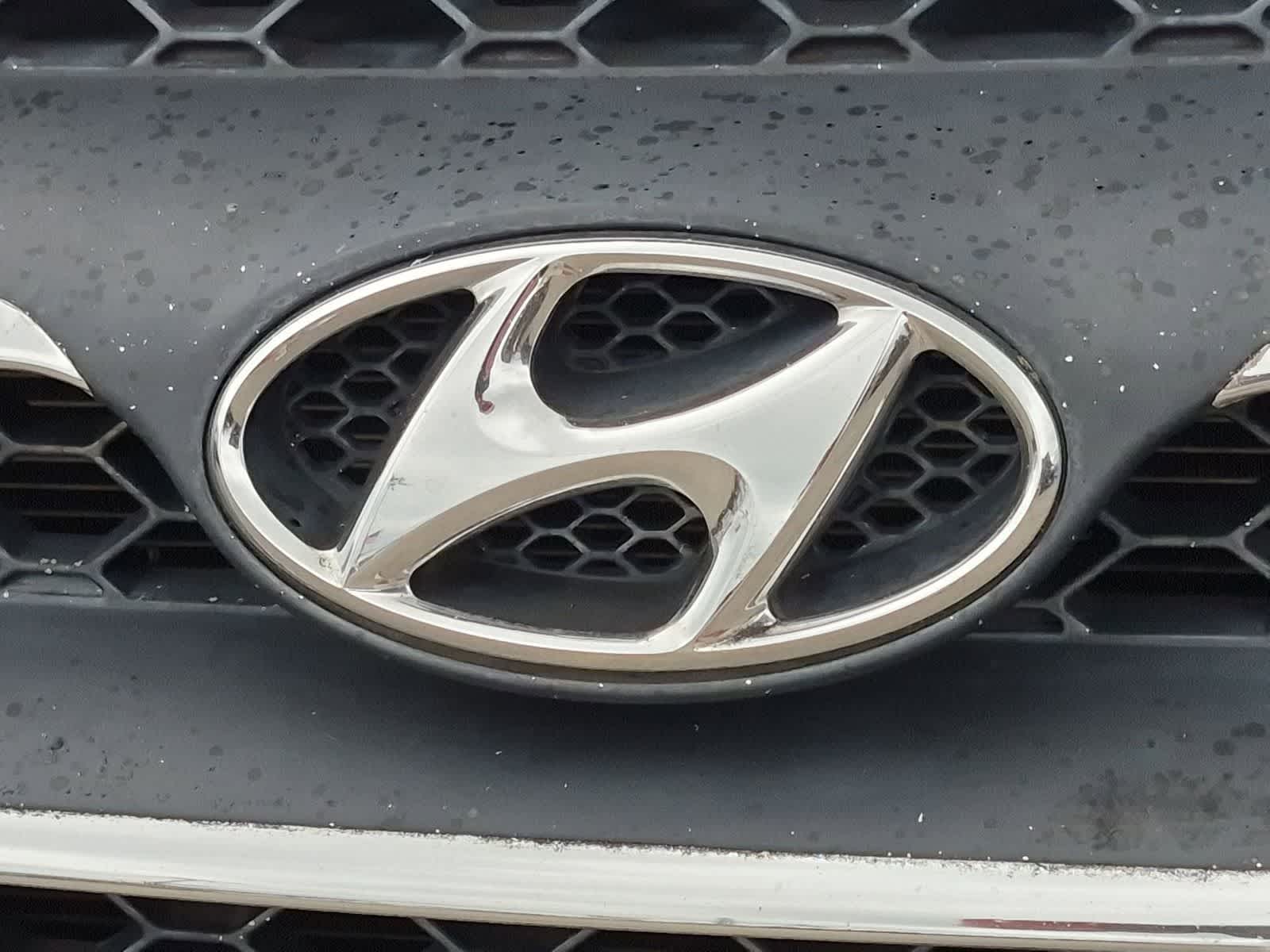 2009 Hyundai Santa Fe Limited