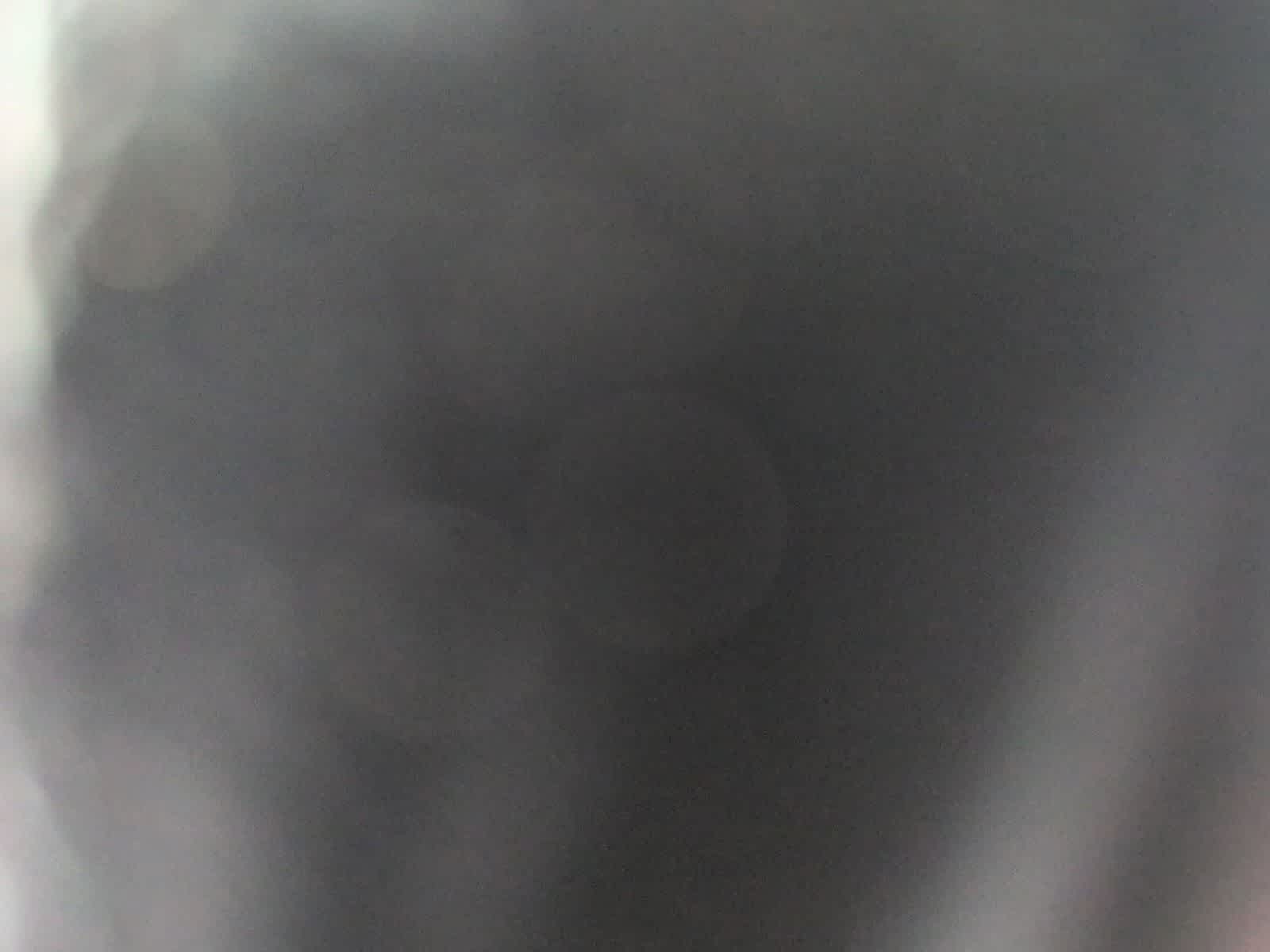 2000 BMW 3 Series 323i